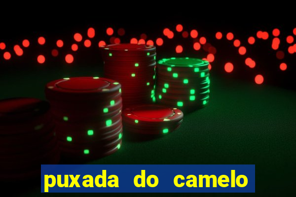 puxada do camelo no jogo do bicho